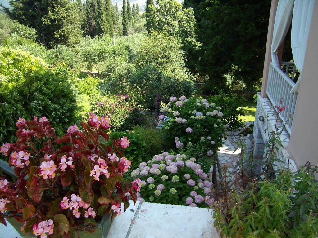 Galini Appartement