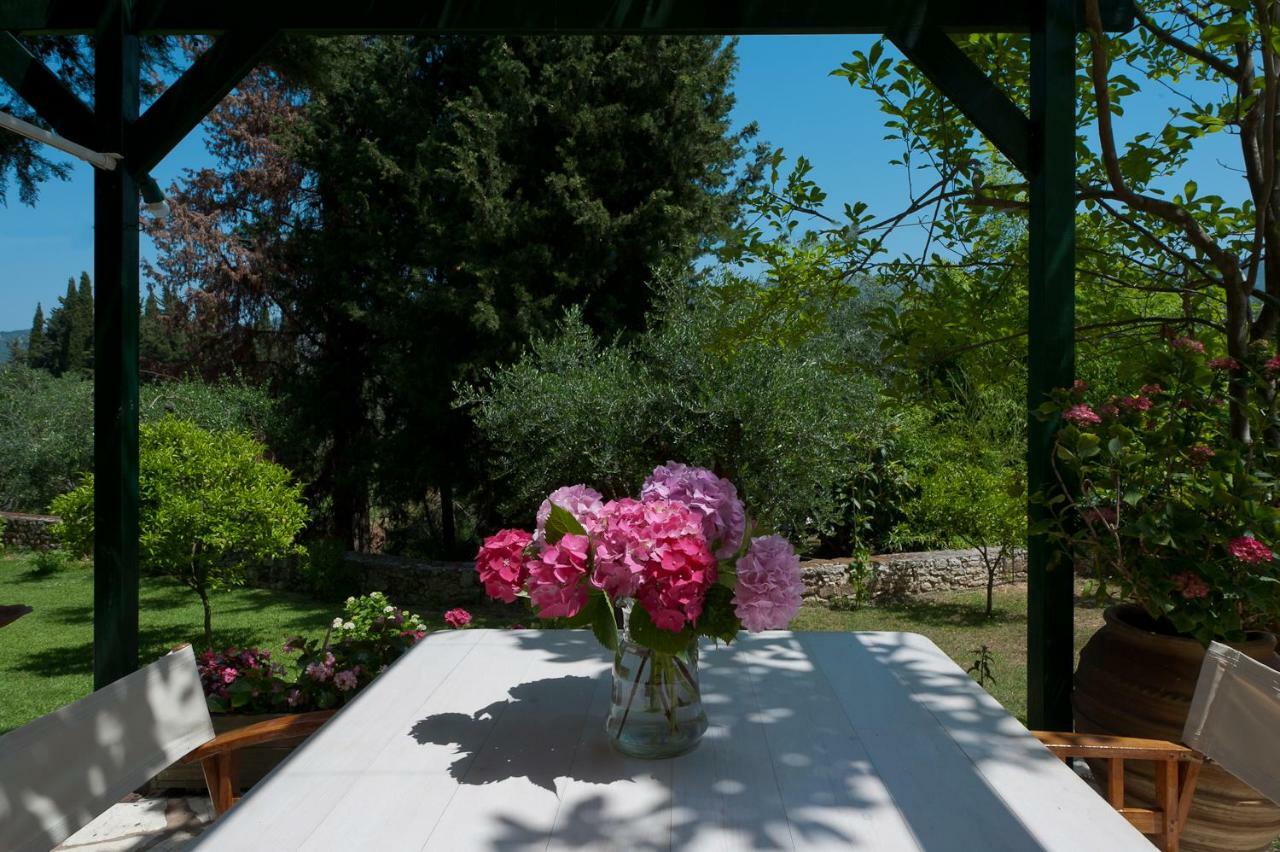 Galini Appartement